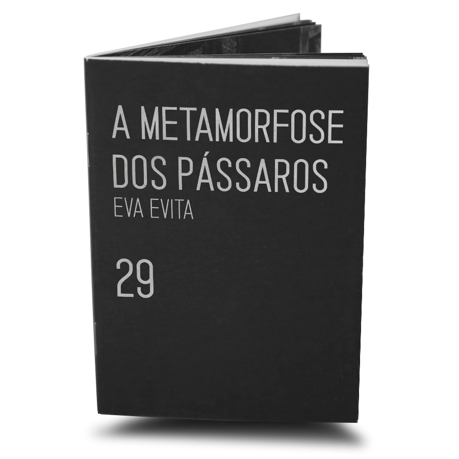 ao norte o filme da minha vida a metamorfose dos pássaros